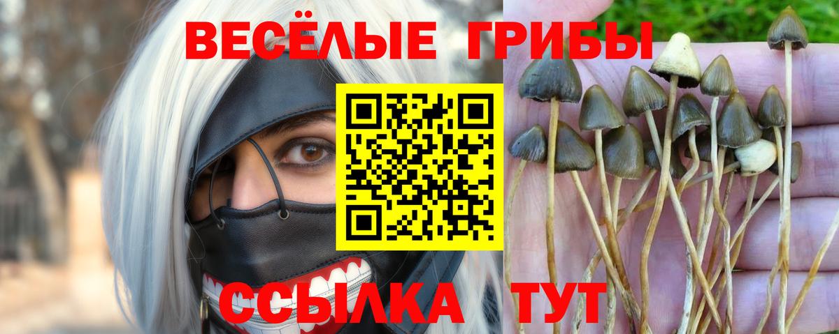 Галлюциногенные грибы Psilocybe  Вход с VPN  Галлюциногенные грибы мицелий  Надым 